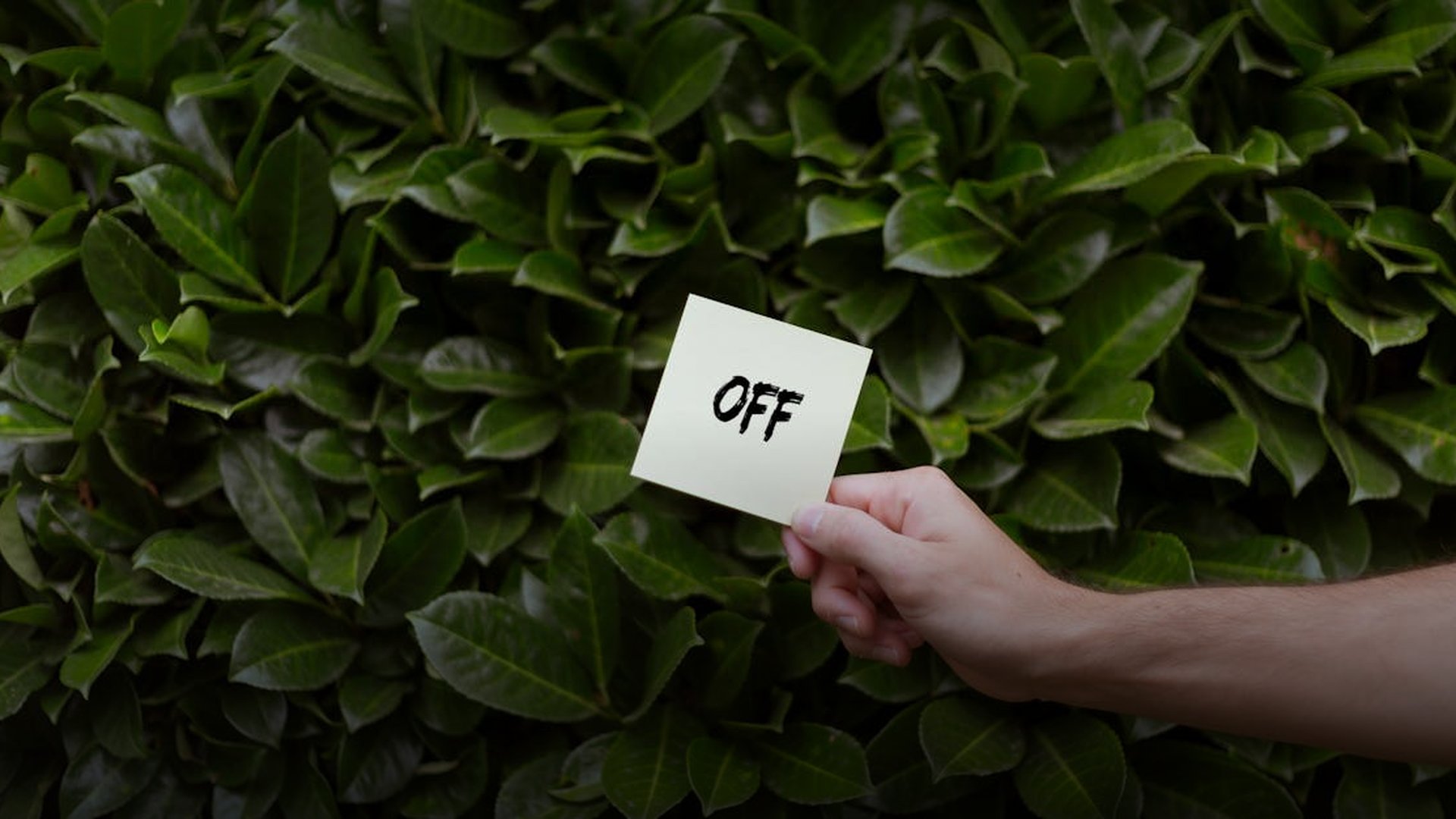 Battle of Paracel Islands: China Seizes Vietnamese Territory