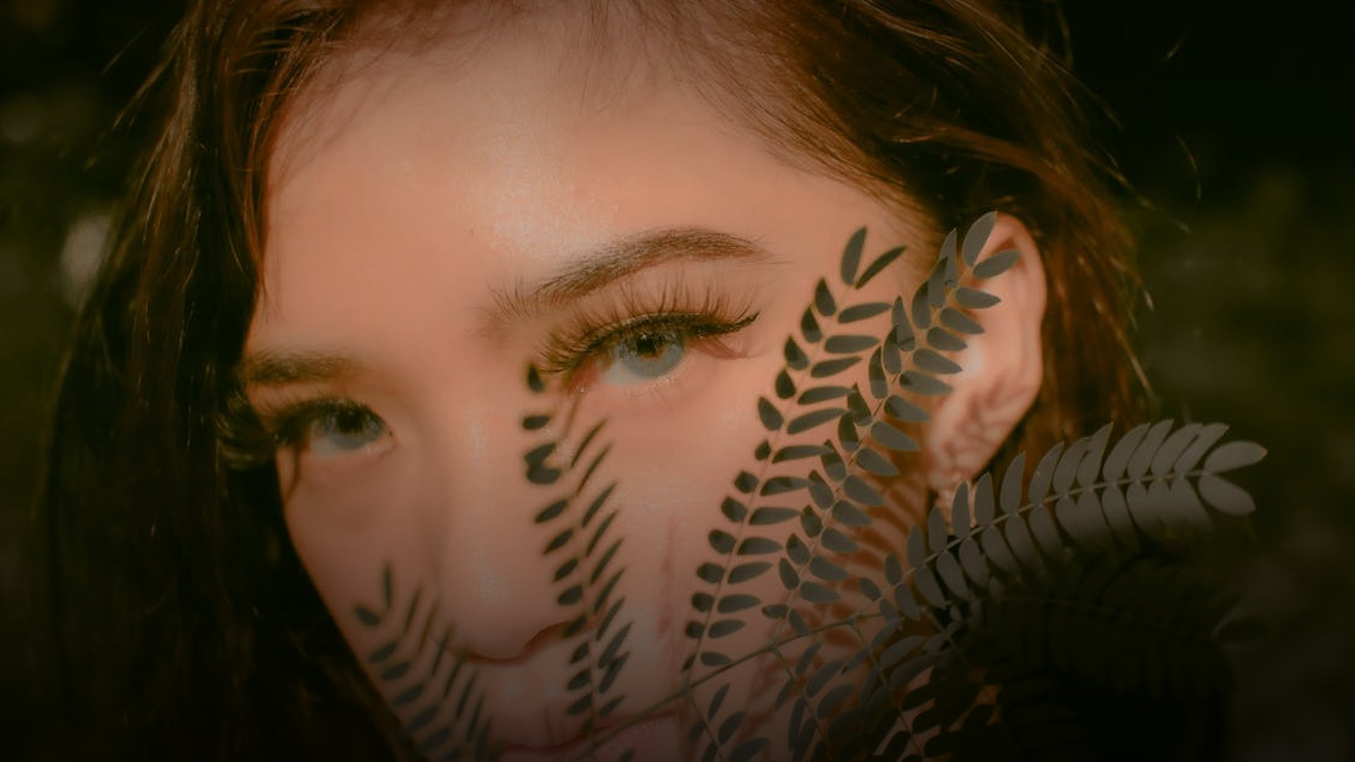 Ethnic Clashes Erupt in Khankendi/Stepanakert