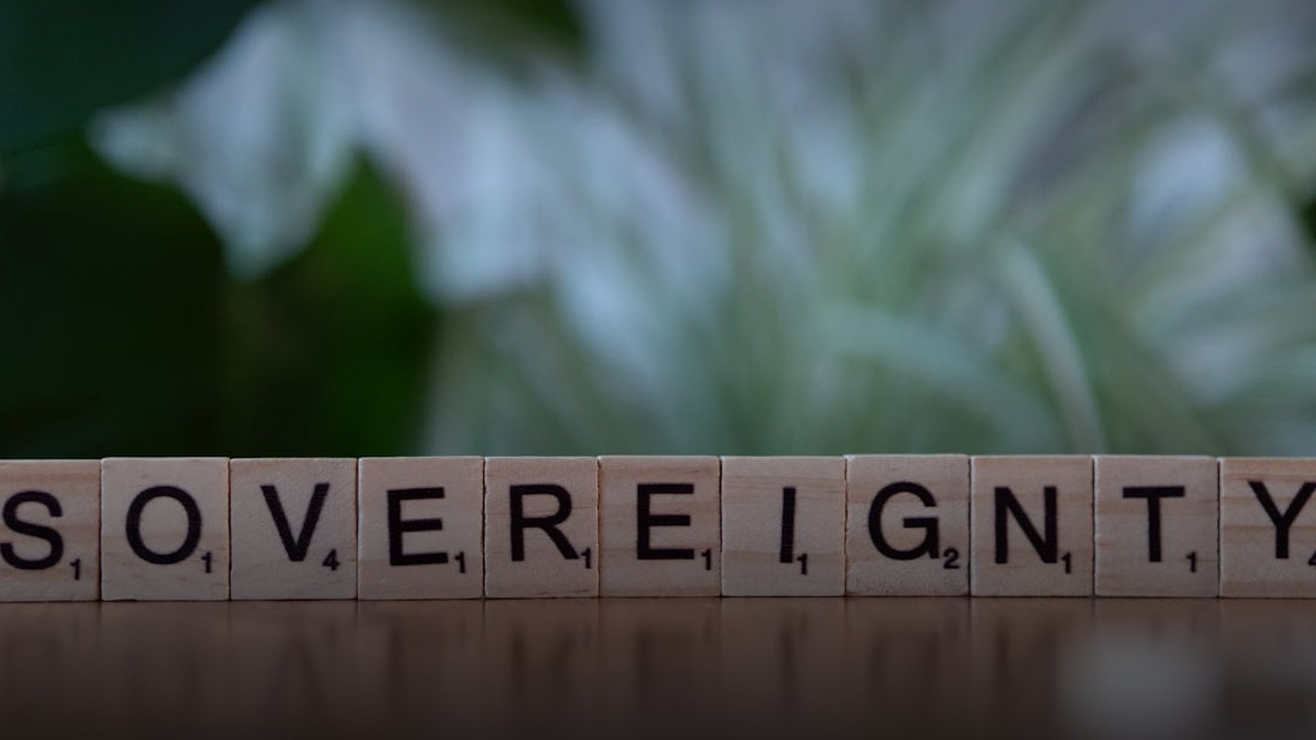 Yemen's Youth Begin Anti-Government Protests Inspired by Arab Spring