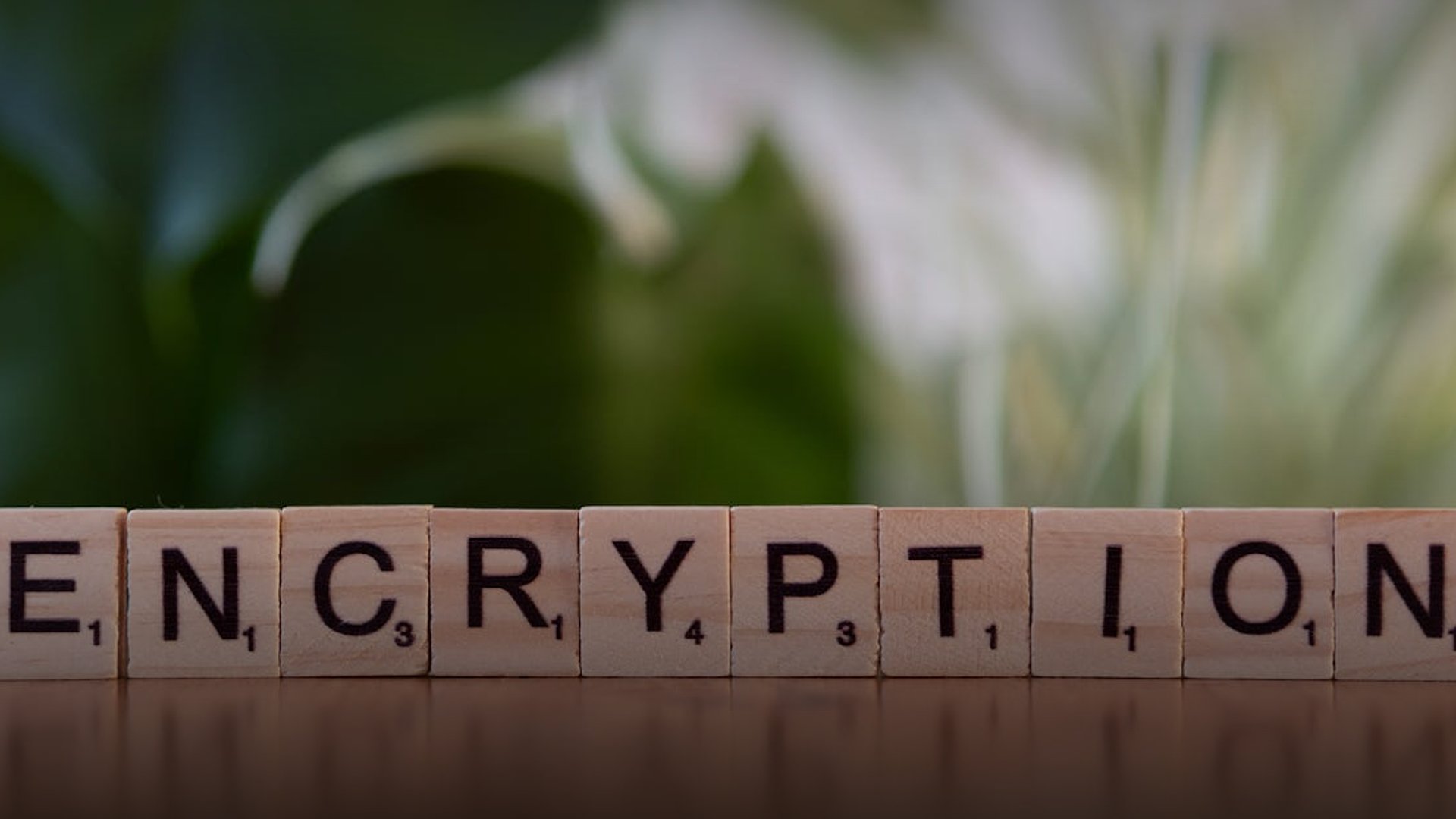 UN Security Council Unanimously Adopts Libya Sanctions Resolution