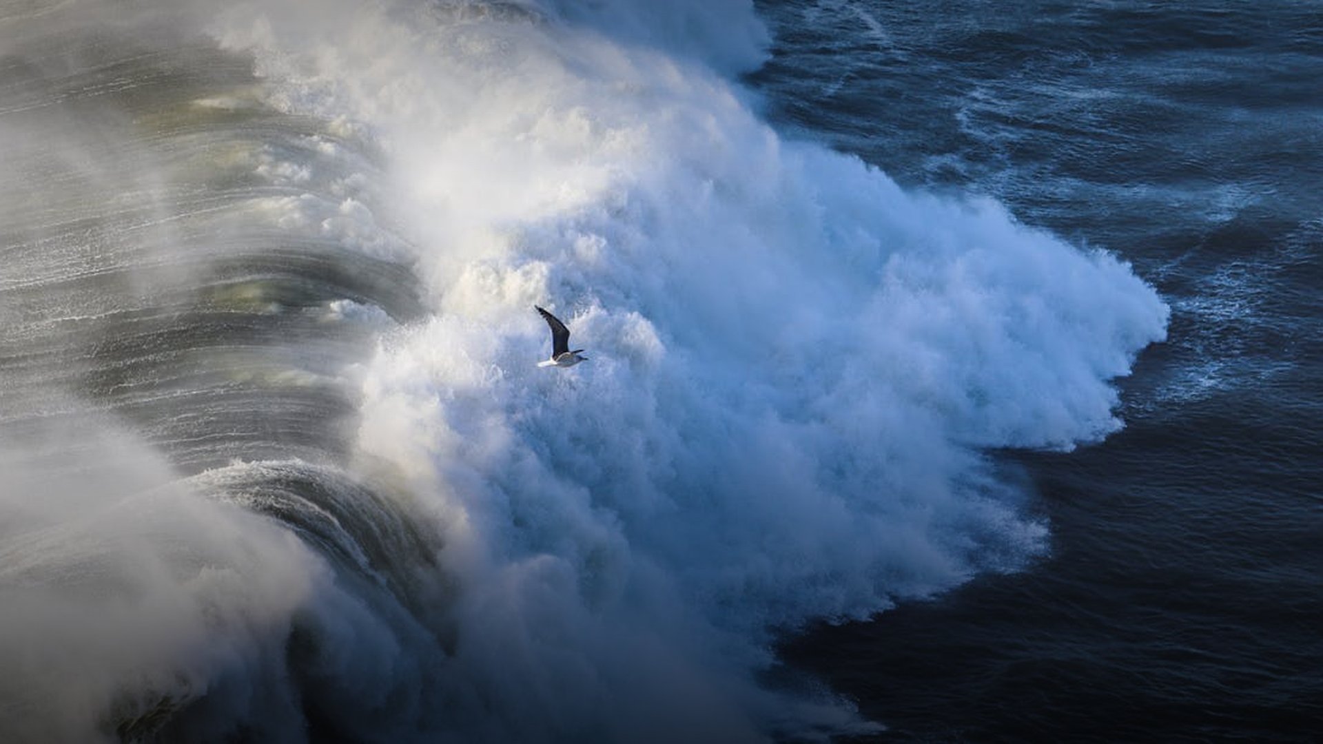 Rebel Forces Retreat from Ajdabiya Under Government Counter-Attack