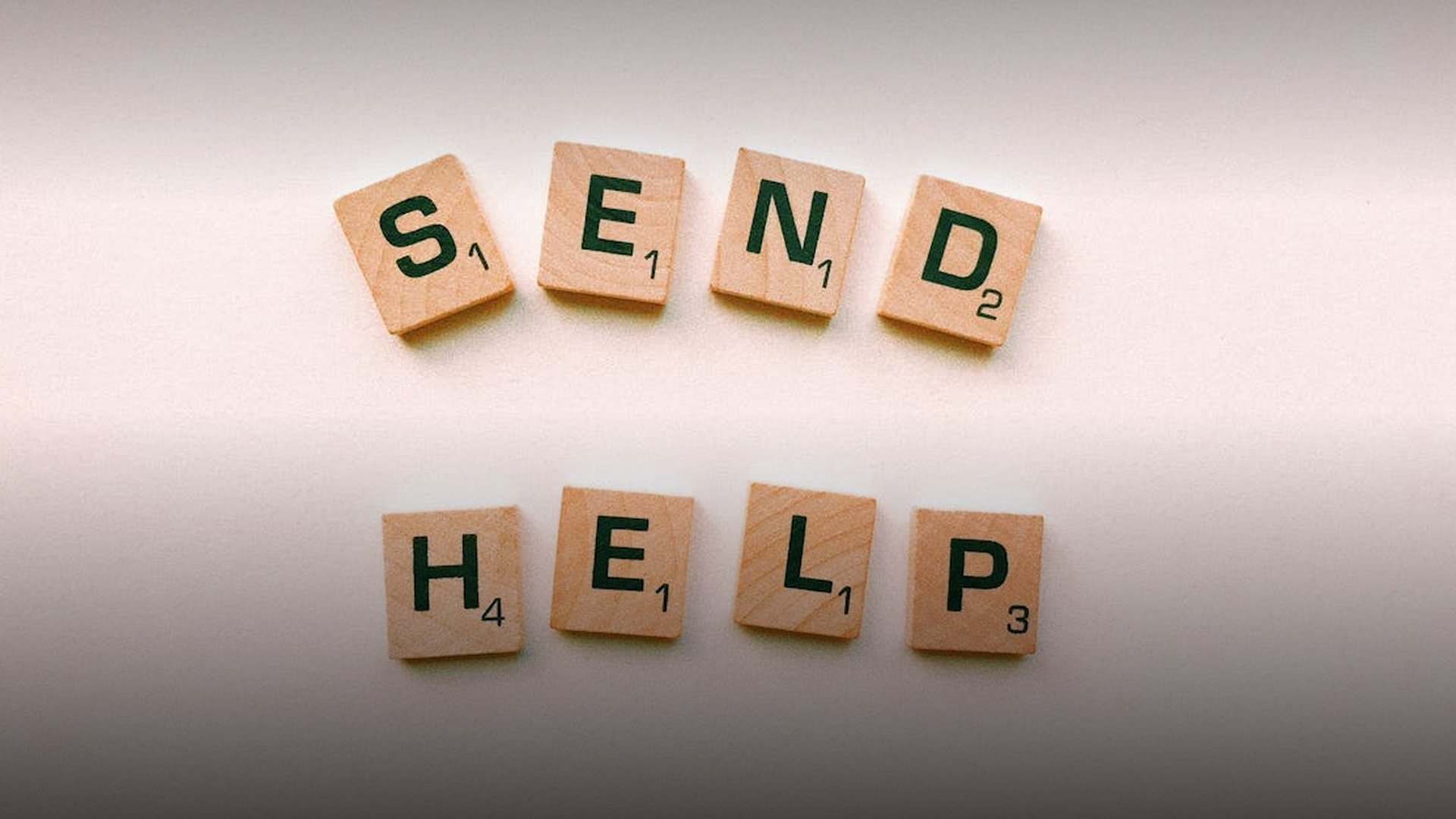 Arab League Sends Observer Mission to Syria