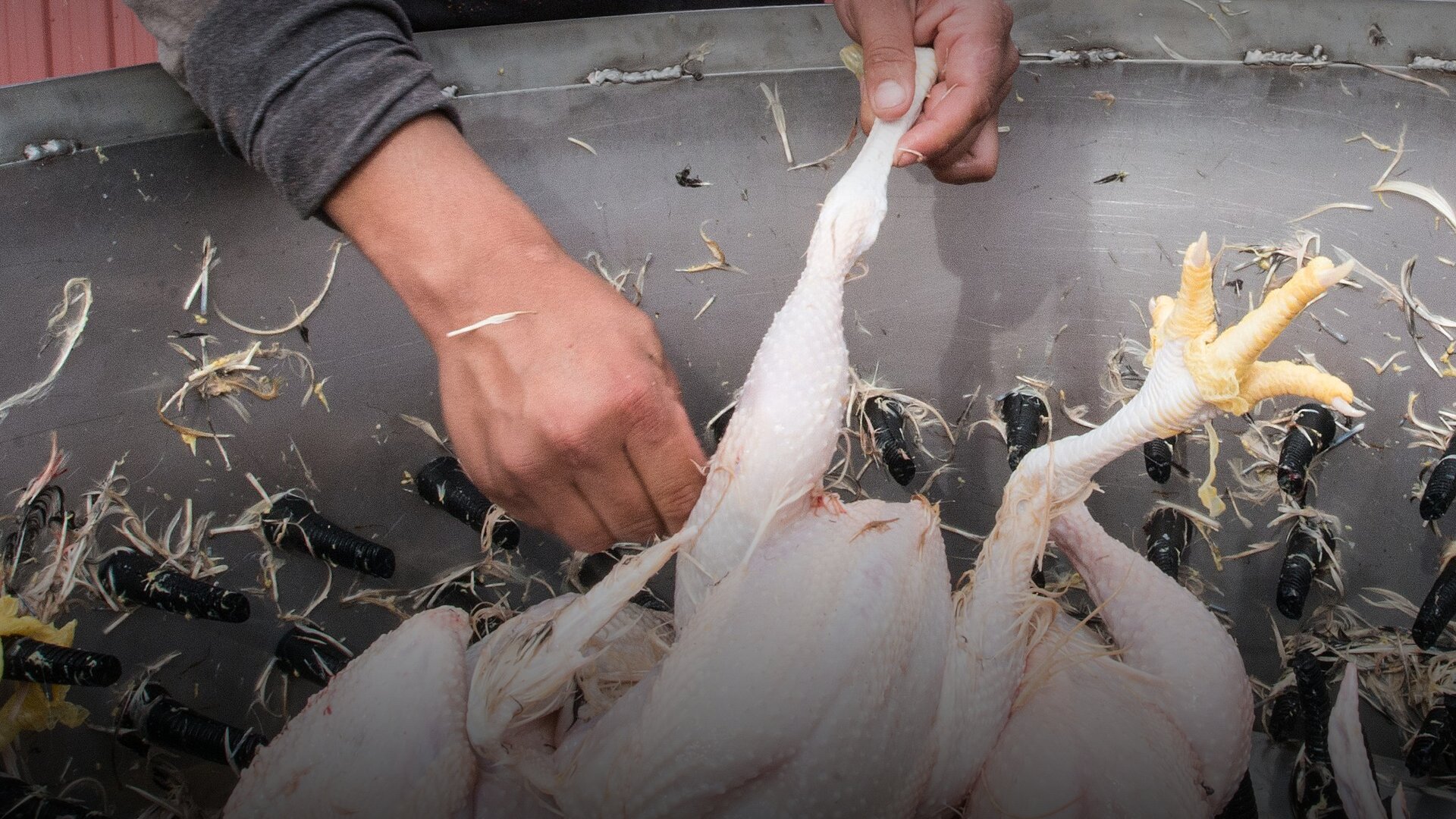 Federal Government Cuts All Funding to Tigray Region